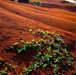 《明末：渊虚之羽》Steam评价升至褒贬不一 好评率达41%